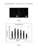 CARBON NANOTUBE-BASED FIBERS, USES THEREOF AND PROCESS FOR MAKING SAME diagram and image