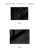 CARBON NANOTUBE-BASED FIBERS, USES THEREOF AND PROCESS FOR MAKING SAME diagram and image