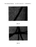 CARBON NANOTUBE-BASED FIBERS, USES THEREOF AND PROCESS FOR MAKING SAME diagram and image