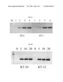 USE OF WHOLE BLOOD IN PCR REACTIONS diagram and image