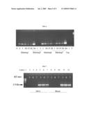 USE OF WHOLE BLOOD IN PCR REACTIONS diagram and image