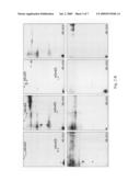 Biomarkers and detection methods for gastric diseases diagram and image