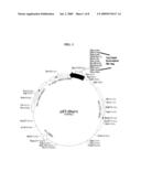 THREE-DIMENSIONAL STRUCTURE OF FabK PROTEIN AND METHOD OF DEVELOPING A FabK PROTEIN INHIBITOR USING THE SAME diagram and image