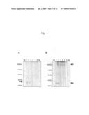 Prostasin Partial Peptide and Anti-Prostasin Antibody diagram and image