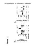 Phosphospecific Chemokine Receptor Antibodies diagram and image