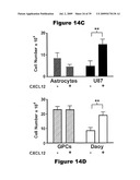 Phosphospecific Chemokine Receptor Antibodies diagram and image