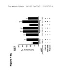 Phosphospecific Chemokine Receptor Antibodies diagram and image