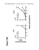 Phosphospecific Chemokine Receptor Antibodies diagram and image