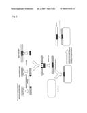 Mutant bacterium belonging to the genus bacillus diagram and image