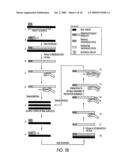 METHOD FOR MAKING AVAILABLE A PRIMING OLIGONUCLEOTIDE diagram and image