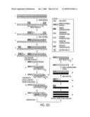 METHOD FOR MAKING AVAILABLE A PRIMING OLIGONUCLEOTIDE diagram and image