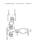 Nucleic Acid-Mediated Treatment of Diseases or Conditions Related to Levels of Vascular Endothelial Growth Factor Receptor (VEGF-R) diagram and image