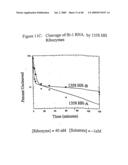 Nucleic Acid-Mediated Treatment of Diseases or Conditions Related to Levels of Vascular Endothelial Growth Factor Receptor (VEGF-R) diagram and image