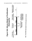 Nucleic Acid-Mediated Treatment of Diseases or Conditions Related to Levels of Vascular Endothelial Growth Factor Receptor (VEGF-R) diagram and image