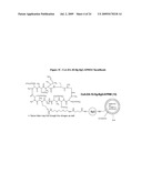 METHODS FOR DETECTION OF CYCLOSPORIN A diagram and image