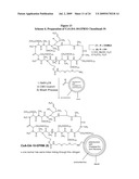 METHODS FOR DETECTION OF CYCLOSPORIN A diagram and image