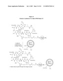 METHODS FOR DETECTION OF CYCLOSPORIN A diagram and image