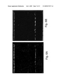 RE-SEQUENCING PATHOGEN MICROARRAY diagram and image