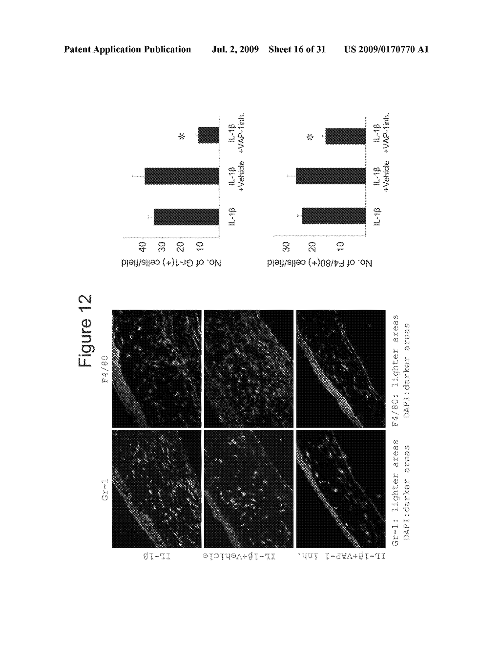 METHODS AND COMPOSITIONS FOR TREATING CONDITIONS ASSOCIATED WITH ANGIOGENESIS USING A VASCULAR ADHESION PROTEIN-1 (VAP 1) INHIBITOR - diagram, schematic, and image 17