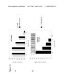 METHODS FOR TREATING RAS DRIVEN CANCER IN A SUBJECT diagram and image