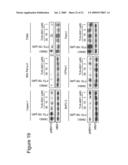 METHODS FOR TREATING RAS DRIVEN CANCER IN A SUBJECT diagram and image