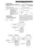 Process for Preparing Unaggregated Antibody FC Domains diagram and image