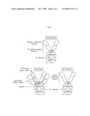 Process for Preparing Unaggregated Antibody FC Domains diagram and image