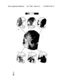 FUNCTIONAL IMAGING OF AUTOREGULATION diagram and image