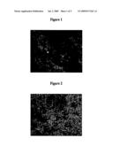 Method and Mixture for In Vivo Photochemical Cross-Linking of Collagen diagram and image