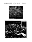 IMPLANTABLE CARTILAGINOUS TISSUE REPAIR DEVICE diagram and image