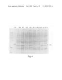 Compositions and Methods of Increasing Stress Tolerance in Plants diagram and image