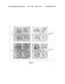 Compositions and Methods of Increasing Stress Tolerance in Plants diagram and image