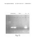 Compositions and Methods of Increasing Stress Tolerance in Plants diagram and image