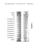 Isolated Polynucleotide Molecules Corresponding to Mutant and Wild-Type Alleles of the Maize D9 Gene and Methods of Use diagram and image