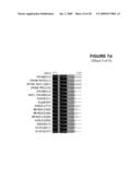 Isolated Polynucleotide Molecules Corresponding to Mutant and Wild-Type Alleles of the Maize D9 Gene and Methods of Use diagram and image