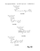 Single Cell Analysis of Membrane Molecules diagram and image