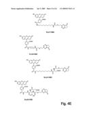 Single Cell Analysis of Membrane Molecules diagram and image