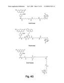 Single Cell Analysis of Membrane Molecules diagram and image