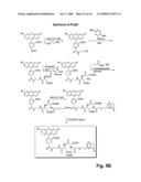 Single Cell Analysis of Membrane Molecules diagram and image