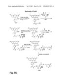 Single Cell Analysis of Membrane Molecules diagram and image