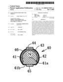 Panel-Shaped Semiconductor Module diagram and image