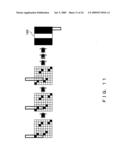 DIGITAL WATERMARK EMBEDDING APPARATUS AND DIGITAL WATERMARK DETECTING APPARATUS diagram and image