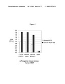 Anti-VEGF Antibody Compositions and Methods diagram and image