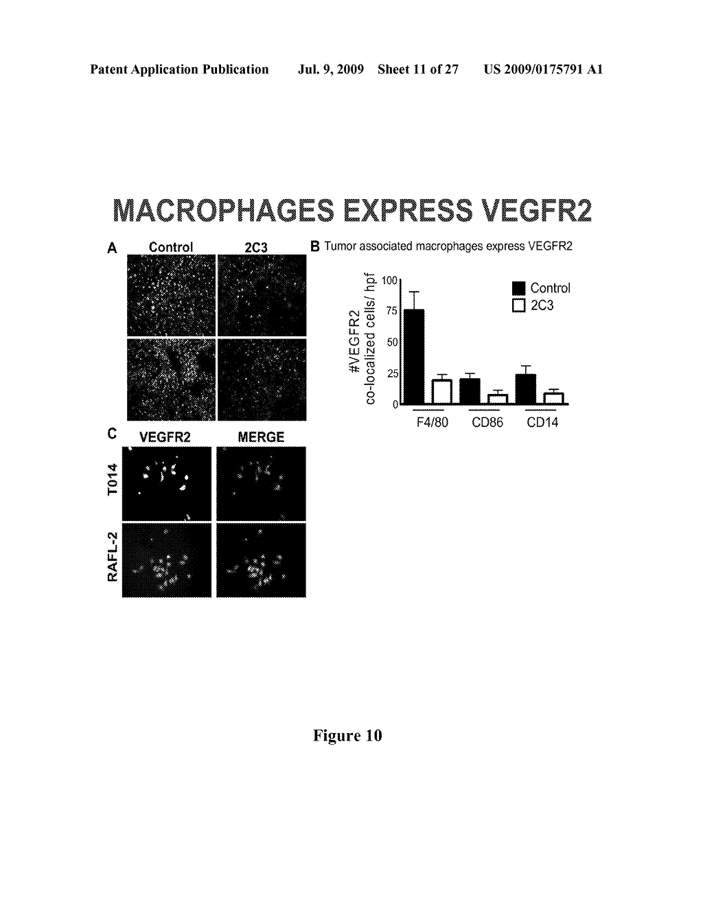 Anti-VEGF Antibody Compositions and Methods - diagram, schematic, and image 12