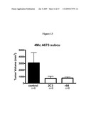 Anti-VEGF Antibody Compositions and Methods diagram and image