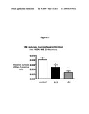 Anti-VEGF Antibody Compositions and Methods diagram and image