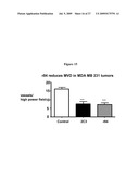 Anti-VEGF Antibody Compositions and Methods diagram and image