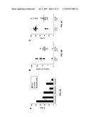 Neuraminidase Inhibitors and uses thereof diagram and image