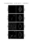 Neuraminidase Inhibitors and uses thereof diagram and image