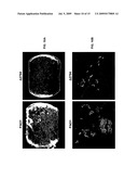 Neuraminidase Inhibitors and uses thereof diagram and image